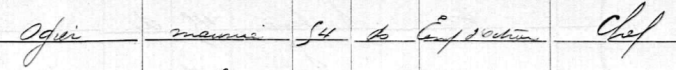extrait recensement 1891 Givors, Rhône (source : Archives départementales du Rhône) 